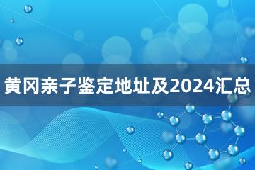 黄冈亲子鉴定地址及2024汇总